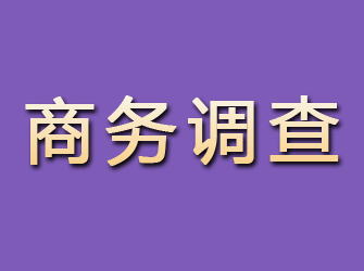 达坂城商务调查