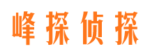 达坂城市侦探公司